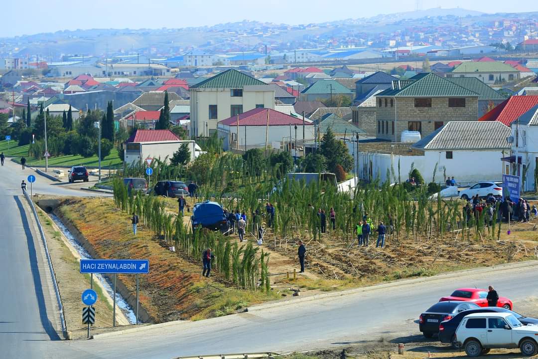 Binəqədi rayonunda “Yaşıl dünya naminə həmrəylik ili” çərçivəsində ağacəkmə aksiyası davam edir  