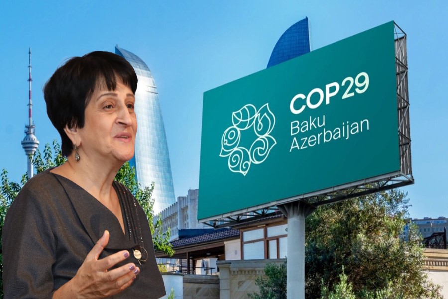 COP29-un uğurları